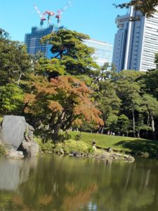 小石川後楽園 紅葉 見どころ! アクセス ランチのおススメ紹介  お気楽に